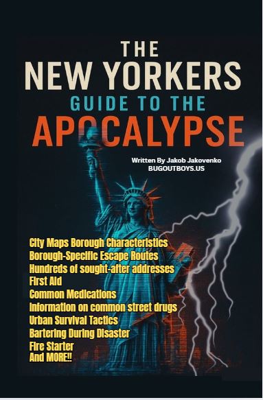NYC SURVIVAL GUIDE AND 11X17 LAMINATED SURVIVAL INFOGRAPHIC