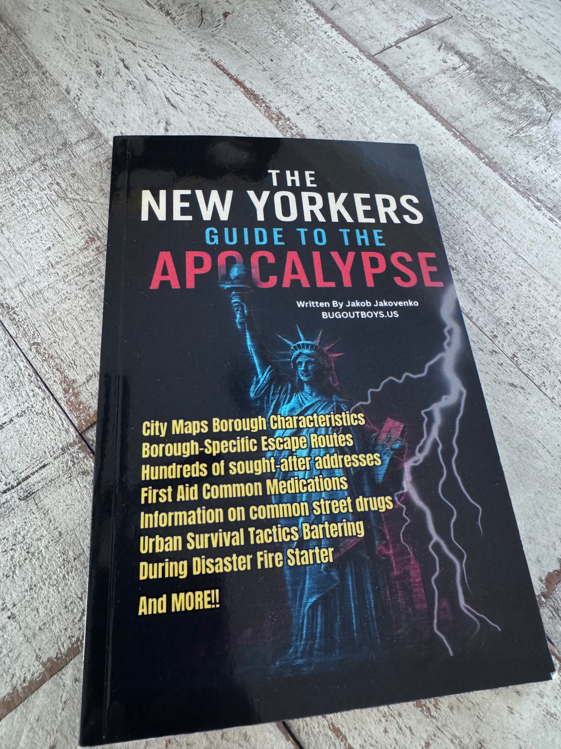 NYC APOCALYPSE SURVIVAL GUIDE
